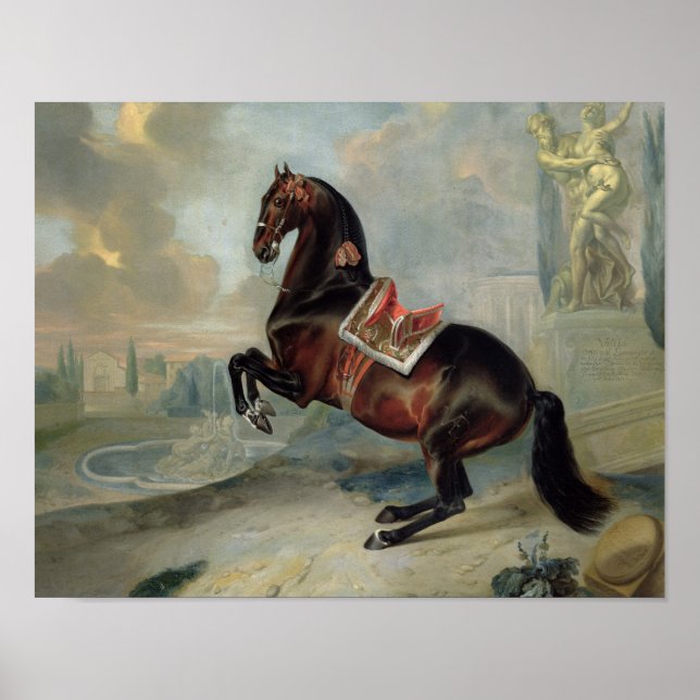 Póster El oscuro caballo de la bahía "Valido" (Frente)