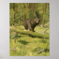 El oso negro pisando un tronco de árbol