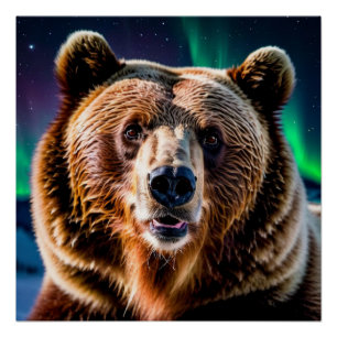 Póster El oso pardo y las luces del norte