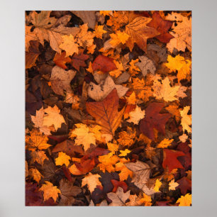Póster el otoño