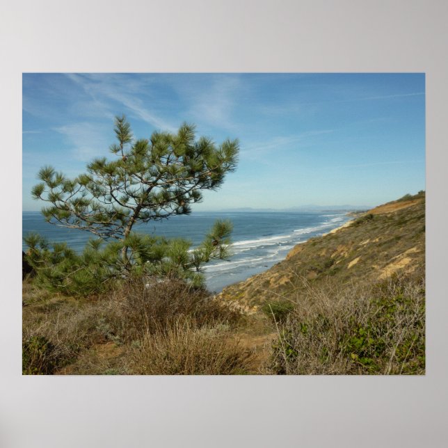 Póster El paisaje costero de Torrey Pine y California (Frente)
