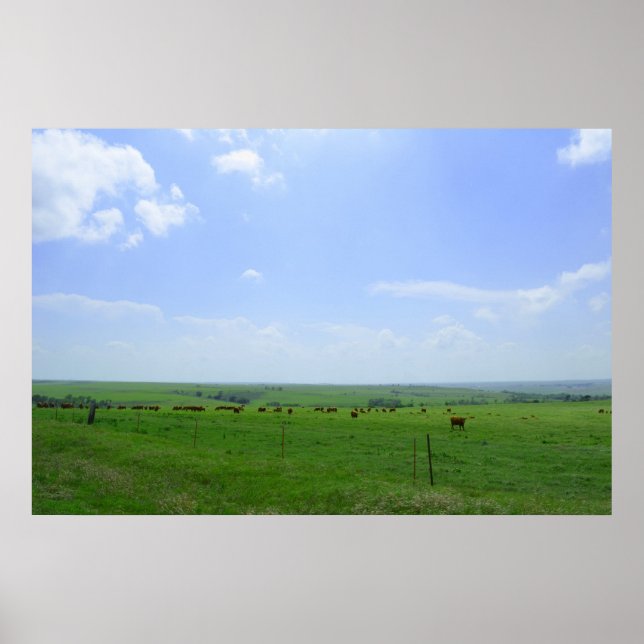 Póster El paisaje de Kansas (Frente)