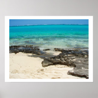 Póster El paisaje de la isla de Vanuatu con las rocas mar