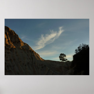 Póster El paisaje de Lone Torrey Pine California Sunset