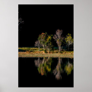 Póster el paisaje de simetría de balón soi refleja