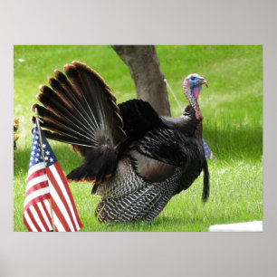 Póster El pájaro de Estados Unidos salvó a Tom Turquía