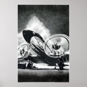 Póster El pájaro Gooney