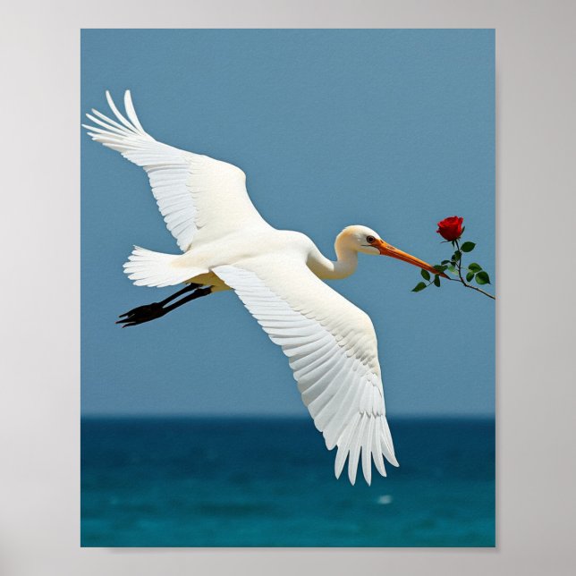 Póster El pájaro que viaja (Frente)