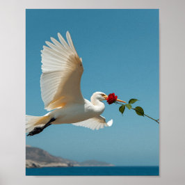 Póster El pájaro que viaja