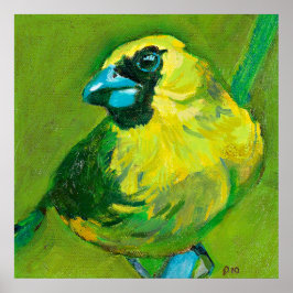 Póster El Pájaro Verde Con El Pico Azul