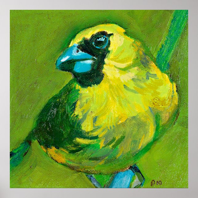 Póster El Pájaro Verde Con El Pico Azul (Frente)