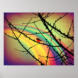 Póster El pájaro y el arco iris