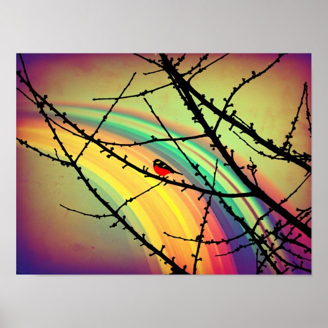 Póster El pájaro y el arco iris (Frente)