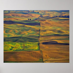Póster El Palouse desde Steptoe Butte, Colfax,