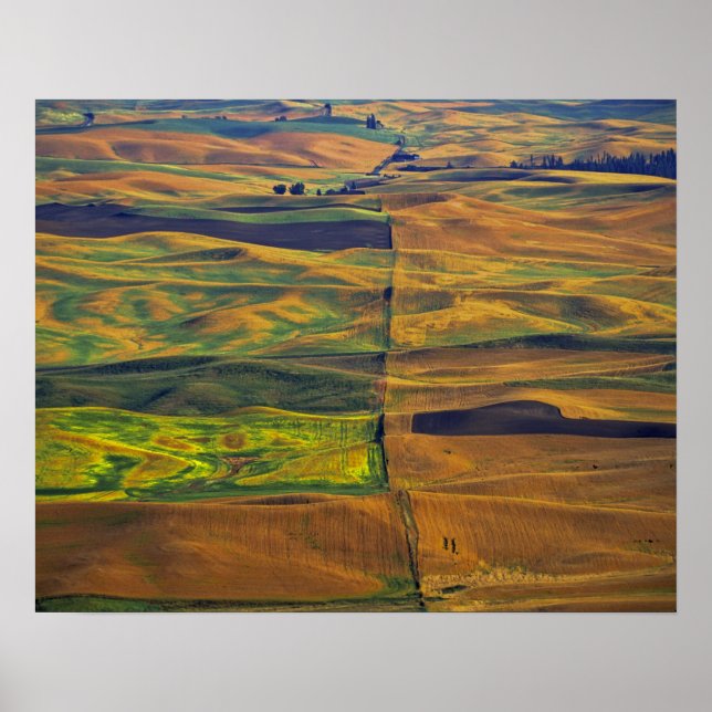 Póster El Palouse desde Steptoe Butte, Colfax, (Frente)