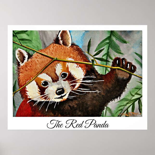 Póster El Panda Rojo (Frente)