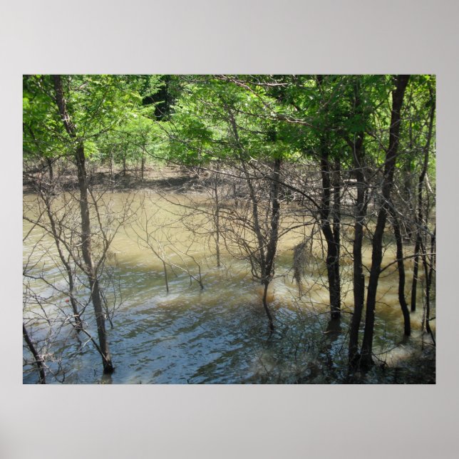 Póster El pantano (Frente)