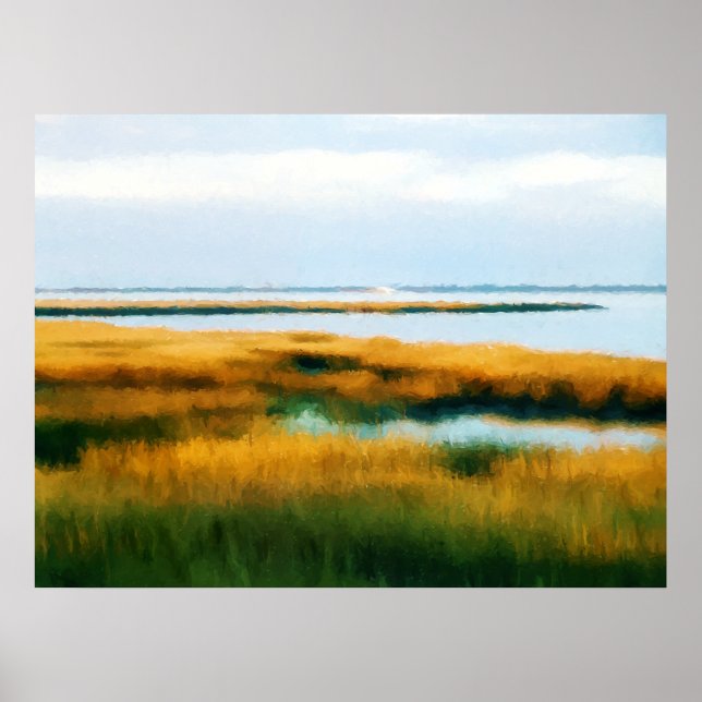 Póster El pantano de la cala de Tom, el Assateague - Impr (Frente)