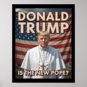 Póster El Papa Gracioso Y El Presidente Donald Trump5