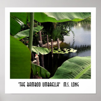 Póster El paraguas de Bambú