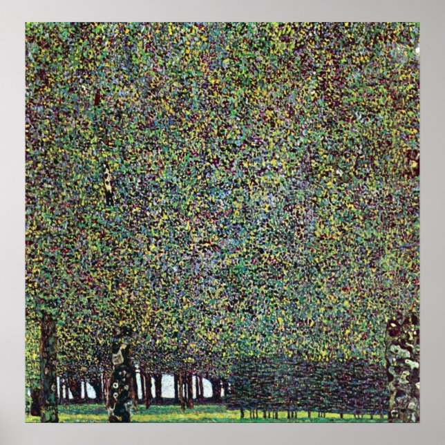 Póster El parque de Gustav Klimt (Frente)