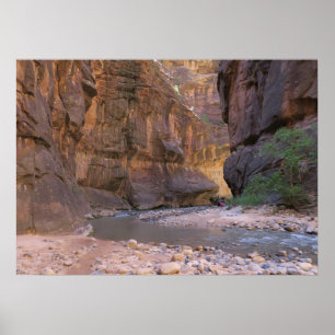 Póster El Parque Nacional Zion