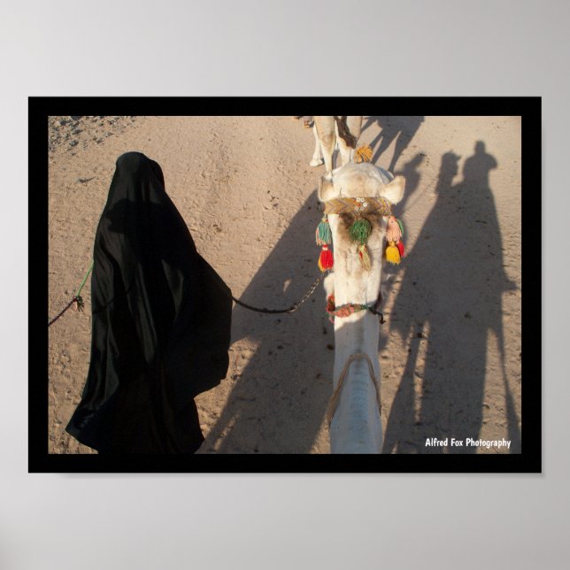 Póster El Paseo del Camello (Frente)