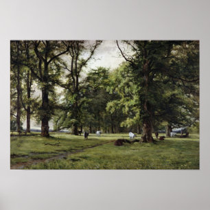 Póster El paseo del olmo
