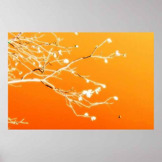 Póster El paso (Frente)