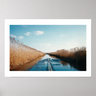 Póster El paso elevado