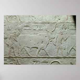 Póster El pastor liderando un toro