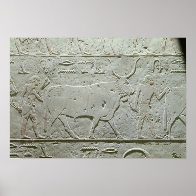 Póster El pastor liderando un toro (Frente)