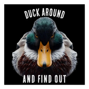 Póster El pato enfurecido dice "Pato por ahí y descubre"