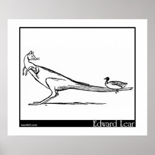 Póster El pato y el canguro