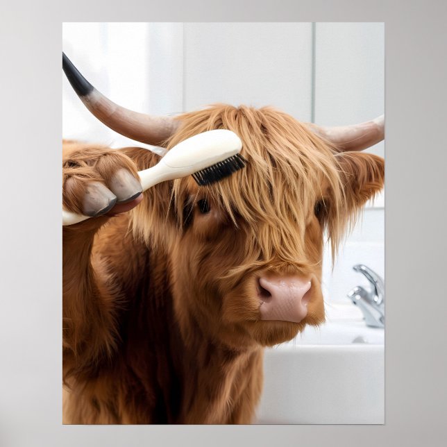 Póster El pelo de cepillado de vaca Highland Preparándose (Frente)