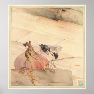 Póster El PELOPAEUS SPIRIFEX - ilustracion de libro del