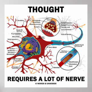 Póster El Pensamiento Requiere Mucha Nerviosismo (Neurona