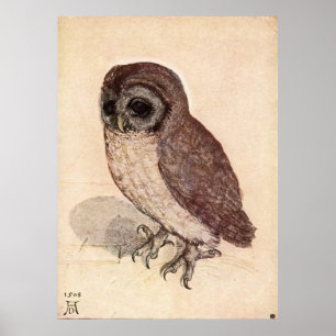 Póster El pequeño búho de Albrecht Dürer