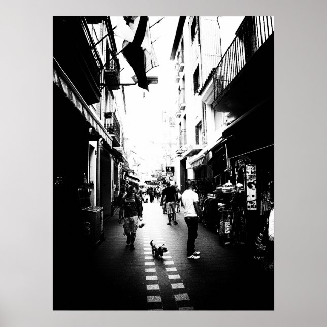 Póster El pequeño perro de la calle (Frente)