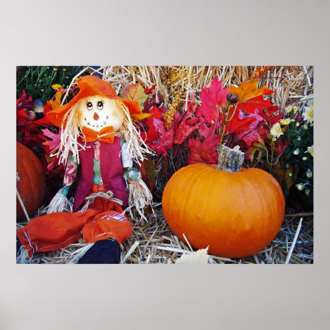 Póster El pequeño señor Scarecrow (Frente)