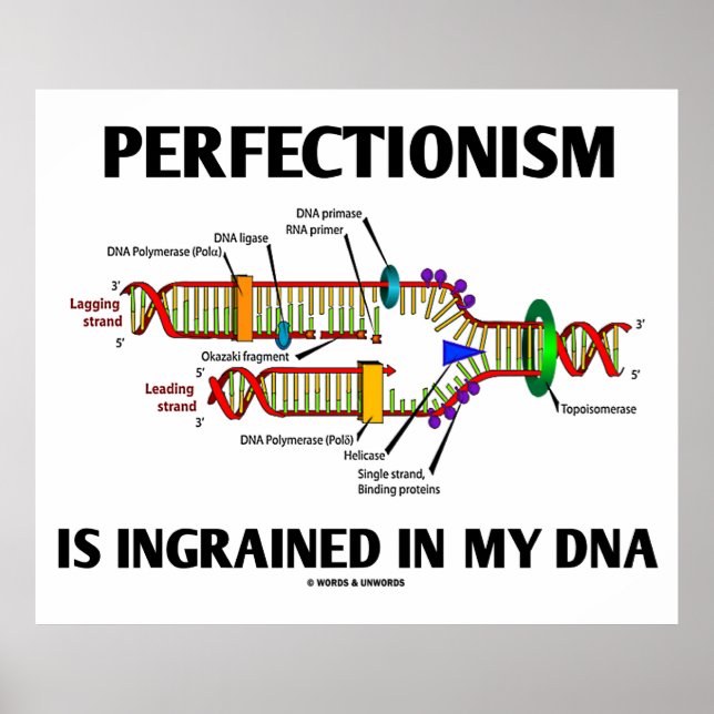 Póster El Perfeccionismo Está Inculcado En Mi ADN (Genes) (Frente)