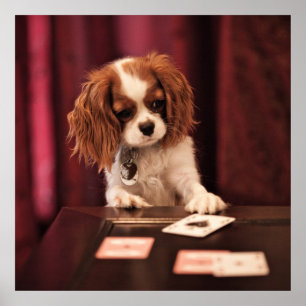 Póster El perrito juega a tarjetas