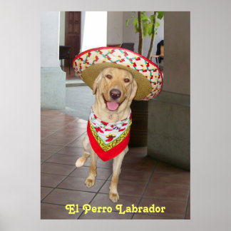 Póster El perro