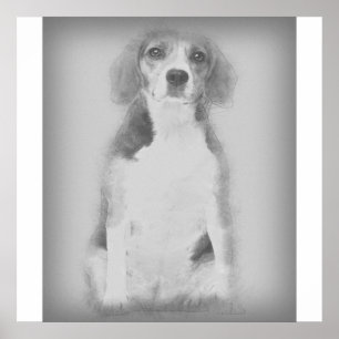 Póster El Perro Beagle Está Dibujado Con Un Lápiz