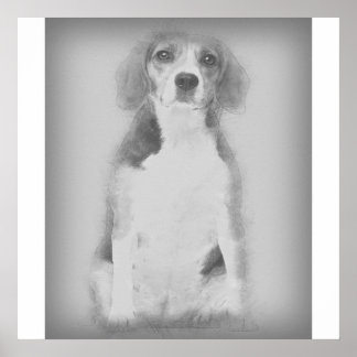 Póster El Perro Beagle Está Dibujado Con Un Lápiz