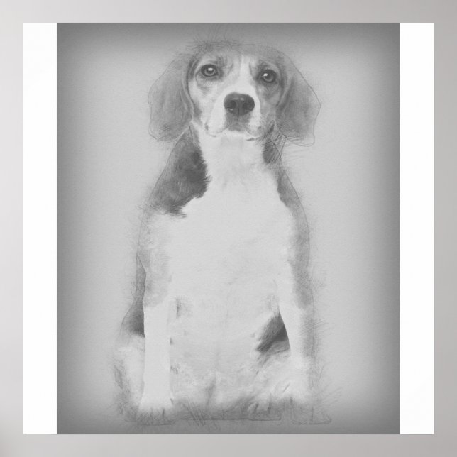 Póster El Perro Beagle Está Dibujado Con Un Lápiz (Frente)