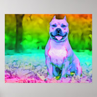 El perro del cielo callejero norteamericano