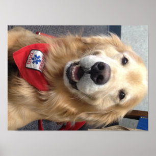 Póster El perro del servicio Jonah sonríe al Poster denti