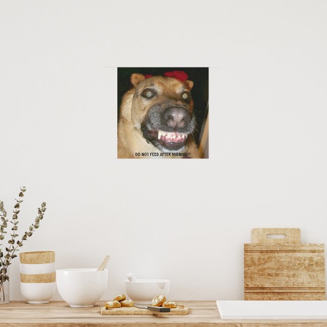 Póster El Perro GSD Cara Divertida No Se Alimenta Después (Cocina)