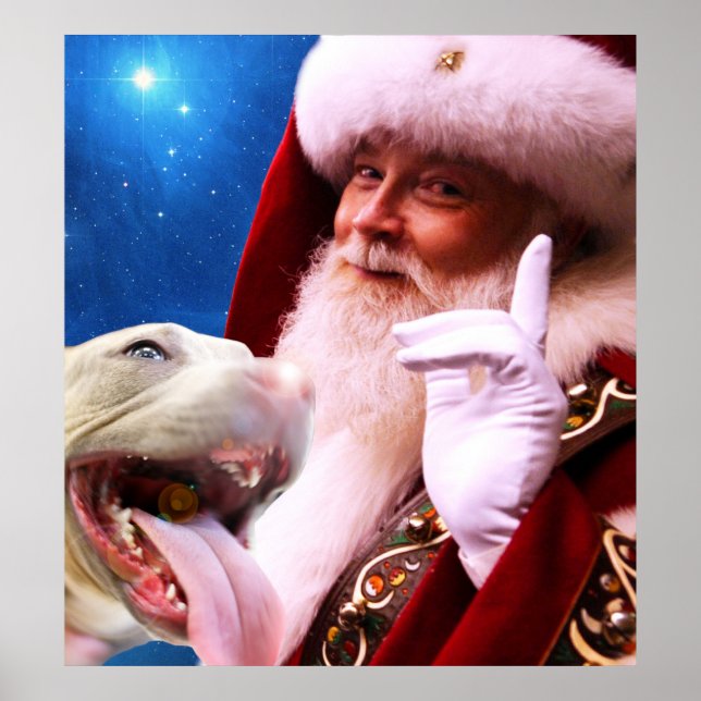 Póster el perro Pitbull de la nariz roja y Santa Claus (Frente)
